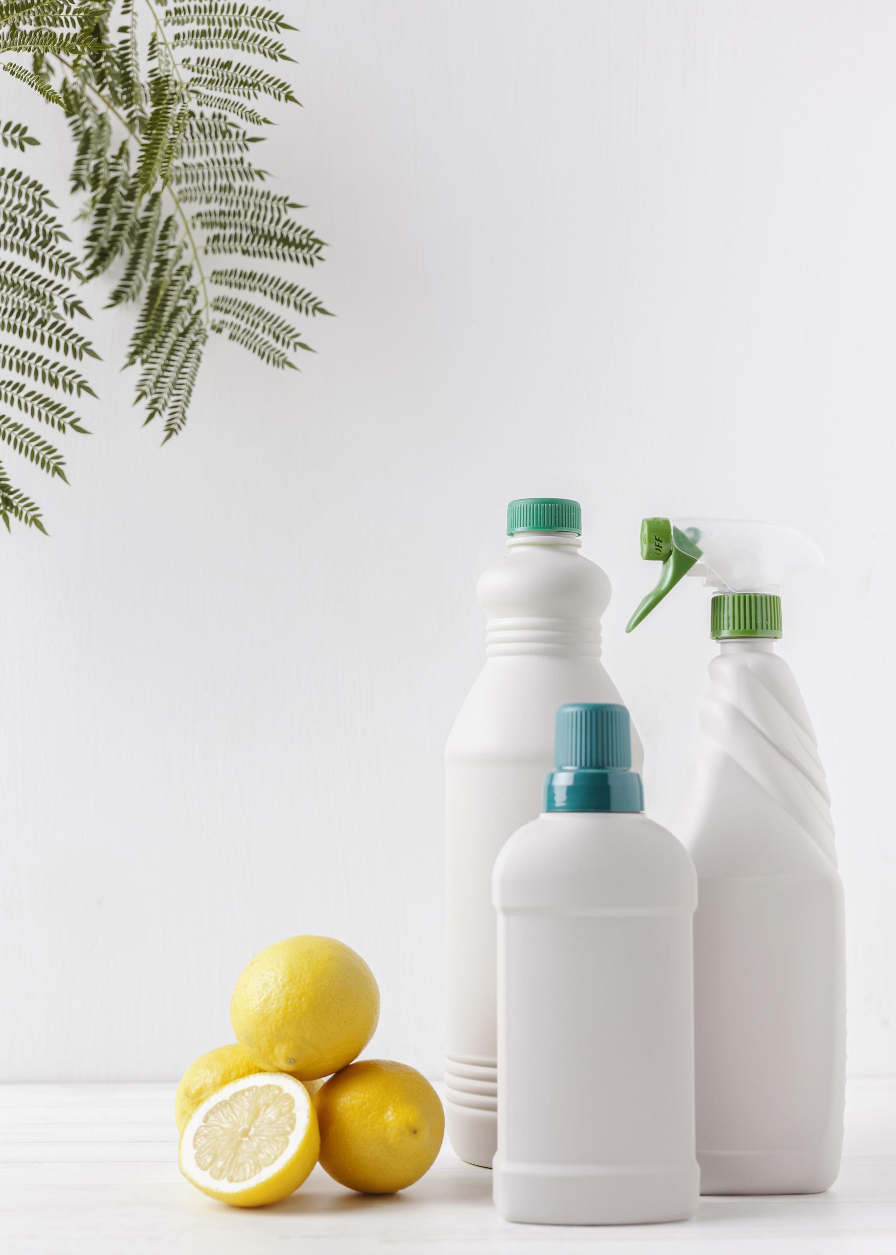 eco-products-concept-with-copy-space eco-products-concept-with-copy-space